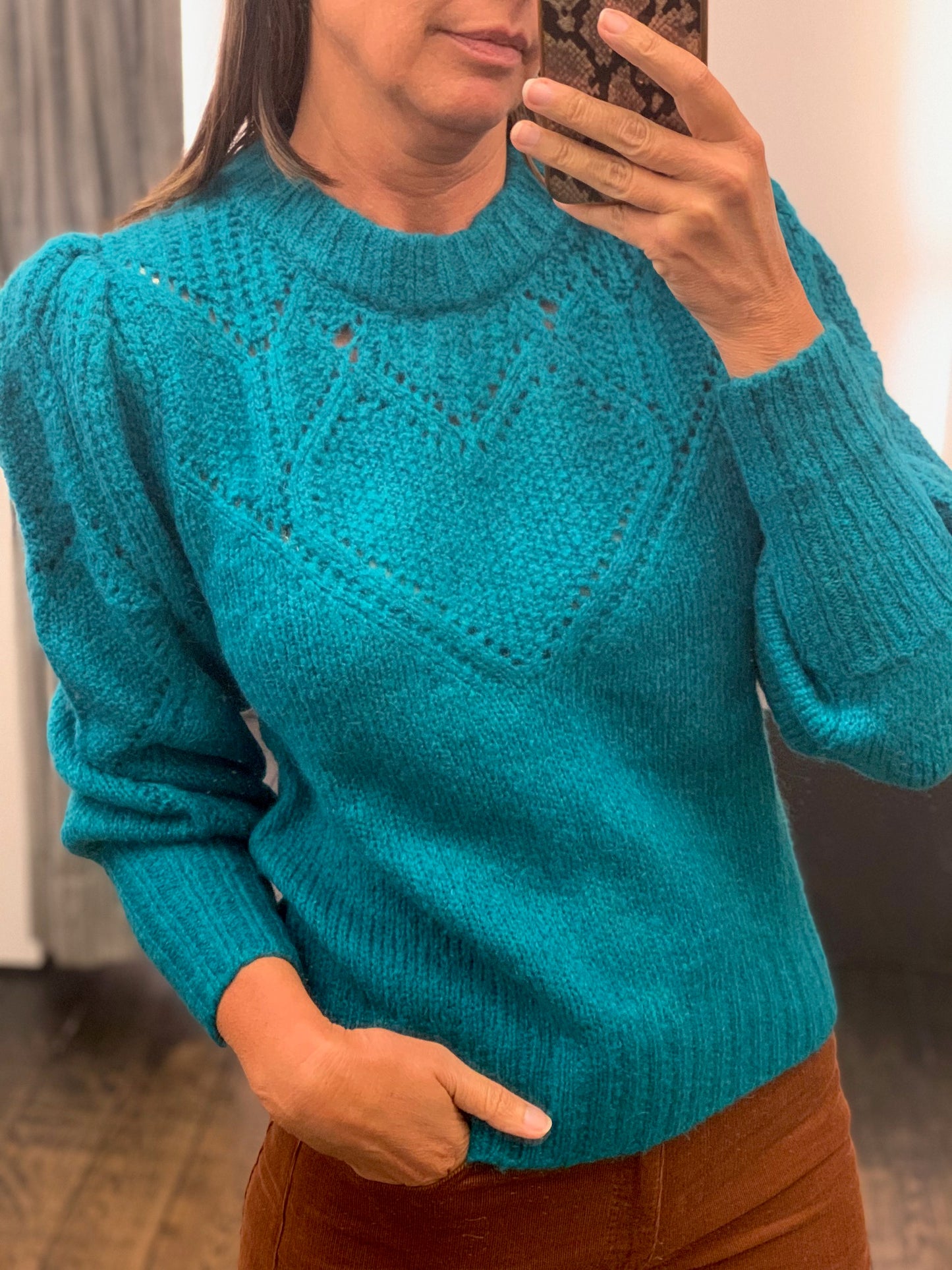 Fabienne Chapot Pull Cathy Keep it Teal